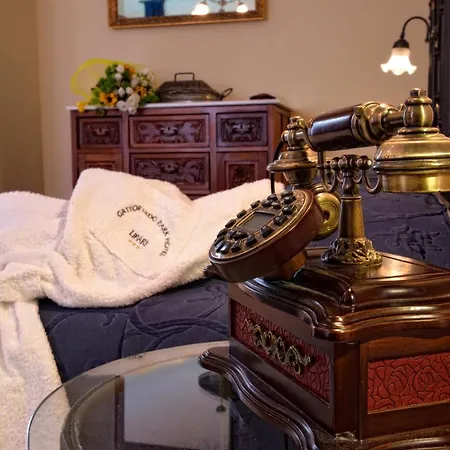 호텔 Gattopardo Park 리파리